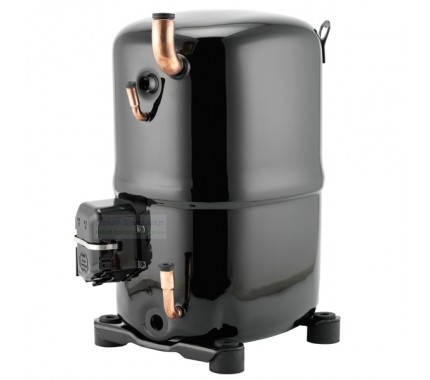 ����������� ���������� Tecumseh TAG 4568 T